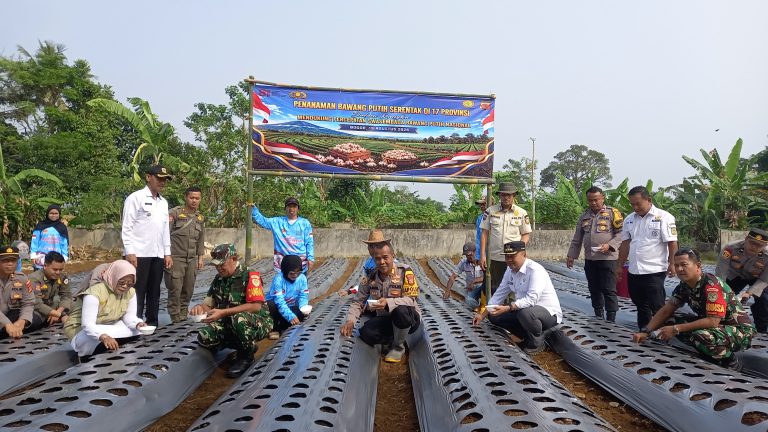 Desa Lemah Duhur Tanam Bawang Putih, Dorong Swasembada dan Ekonomi Warga